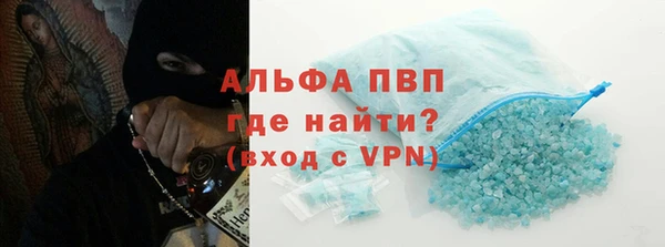 индика Алексин