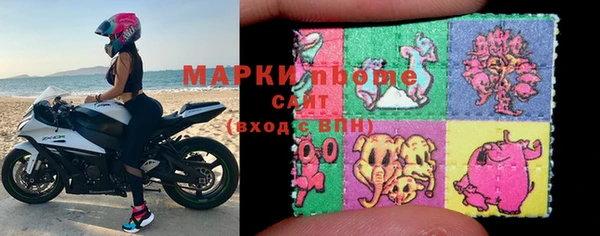 индика Алексин