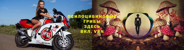 индика Алексин