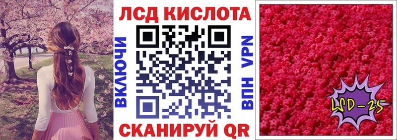 магазин продажи наркотиков  Ладушкин  Марки N-bome 1,5мг 