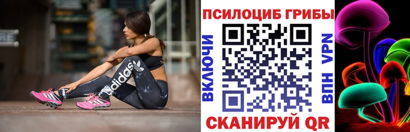 Псилоцибиновые грибы Psilocybine cubensis кракен как войти Ладушкин